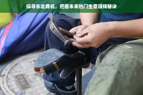 探寻东北商机，把握未来热门生意赚钱秘诀