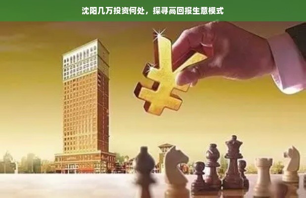 沈阳几万投资何处，探寻高回报生意模式