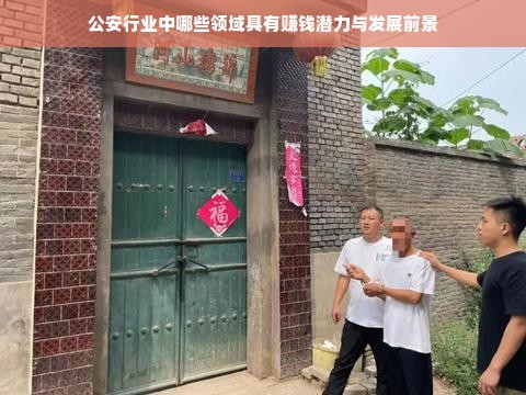 公安行业中哪些领域具有赚钱潜力与发展前景