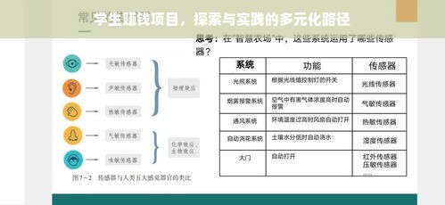 学生赚钱项目，探索与实践的多元化路径