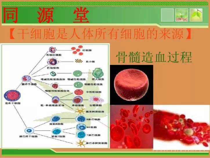 做何职业最能让女性实现养生同时实现财务收益——针对女性的职业养生财富之路探索