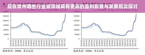 现在常州哪些行业或领域具有更高的盈利前景与发展机会探讨