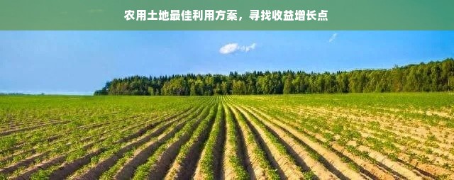 农用土地最佳利用方案，寻找收益增长点