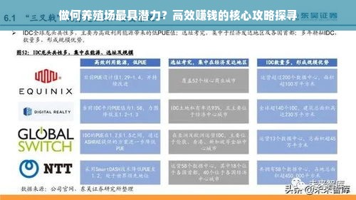 做何养殖场最具潜力？高效赚钱的核心攻略探寻