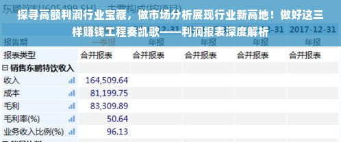 探寻高额利润行业宝藏，做市场分析展现行业新高地！做好这三样赚钱工程奏凯歌——利润报表深度解析