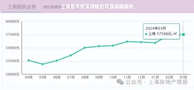 上海春天好卖赚钱的项目深度探讨