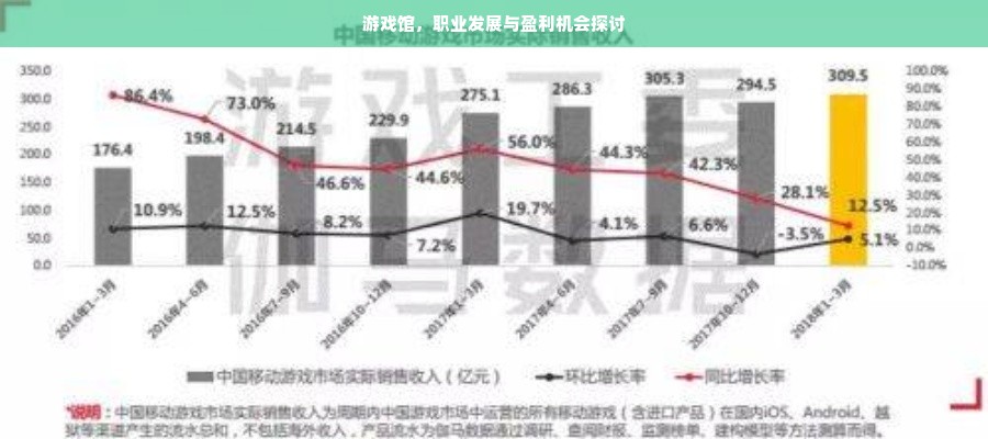 游戏馆，职业发展与盈利机会探讨