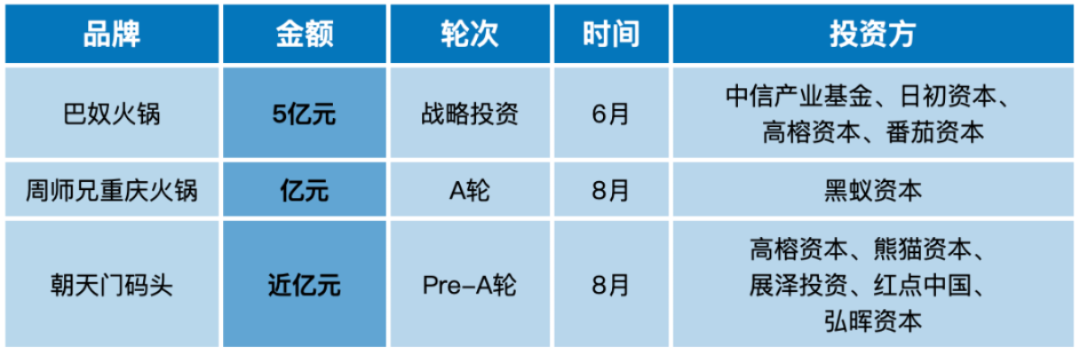 火猪的商业智慧，探寻最佳赚钱生意之道