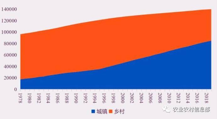 失业后农村商机与财富转型路径探讨