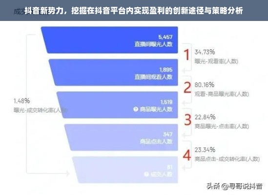 抖音新势力，挖掘在抖音平台内实现盈利的创新途径与策略分析