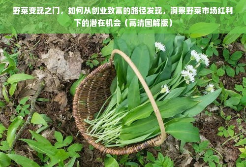 野菜变现之门，如何从创业致富的路径发现，洞察野菜市场红利下的潜在机会（高清图解版）