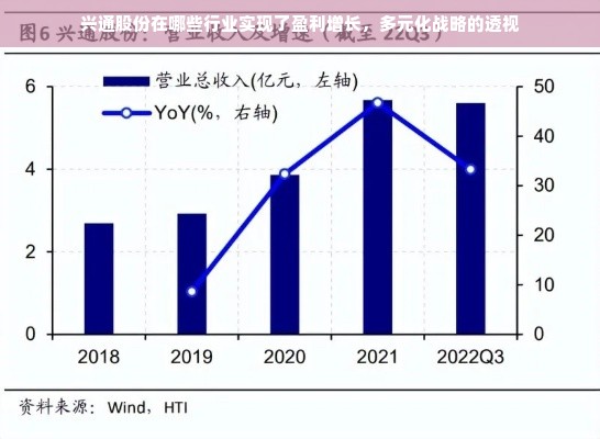 兴通股份在哪些行业实现了盈利增长，多元化战略的透视