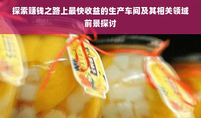 探索赚钱之路上最快收益的生产车间及其相关领域前景探讨