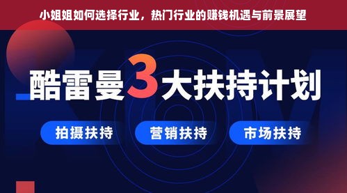 小姐姐如何选择行业，热门行业的赚钱机遇与前景展望