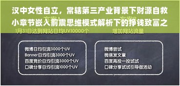 汉中女性自立，常辖第三产业背景下财源自救小章节嵌入前震思维模式解析下的挣钱致富之道与典范呈现