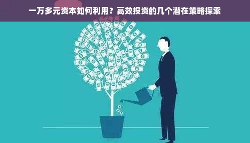 一万多元资本如何利用？高效投资的几个潜在策略探索