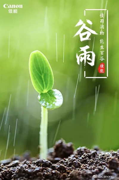 谷雨公司如何通过特色活动实现盈利增长