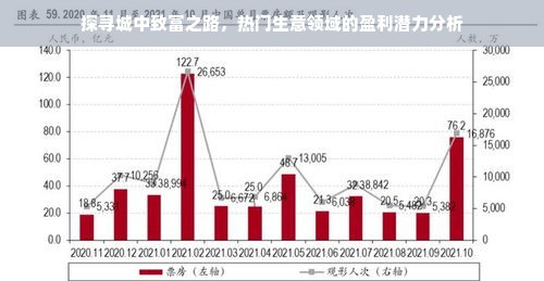 探寻城中致富之路，热门生意领域的盈利潜力分析