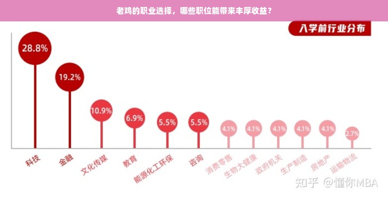 老鸡的职业选择，哪些职位能带来丰厚收益？