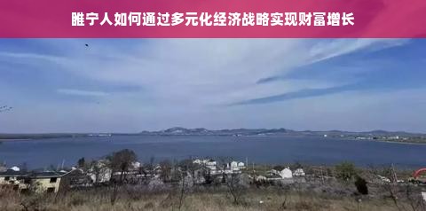 睢宁人如何通过多元化经济战略实现财富增长