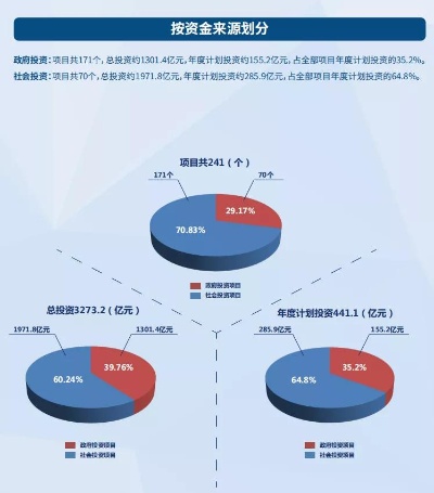 做什么政府供应项目最赚钱，深度分析与前景展望