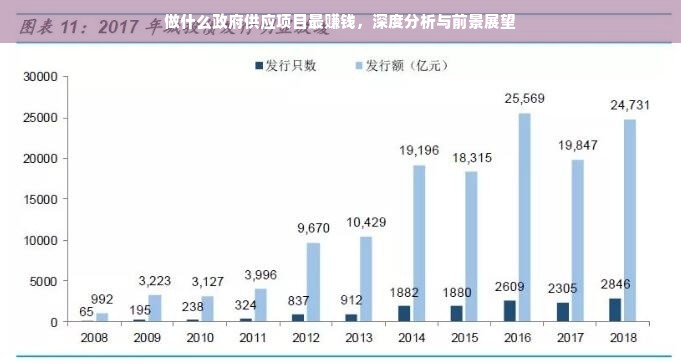 做什么政府供应项目最赚钱，深度分析与前景展望