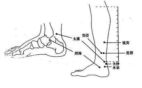 五十万投资如何翻番，创新生意策略与前景展望