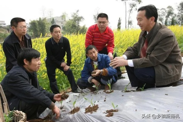 城郊乡镇的致富之路，挖掘赚钱新机遇