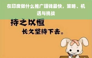 在印度做什么推广赚钱最快，策略、机遇与挑战