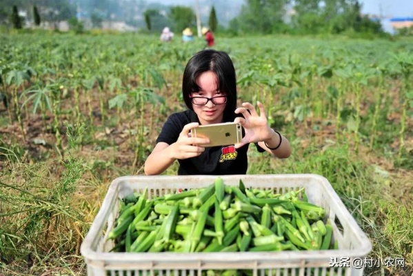 美女在乡下做什么生意赚钱？探究农村创业的新机遇与策略