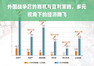 外国战争后的商机与盈利策略，多元视角下的经济腾飞