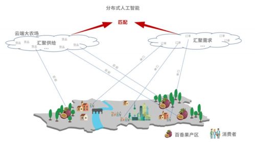 农产品销售新模式探索，如何实现农民增收与业务盈利的双赢