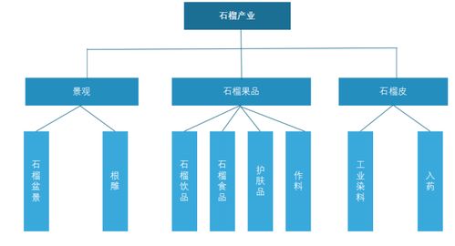 职业与文化对创造高收入经济版图的互惠结合——从国外的例子谈谈为何出国后对生活质量经济效益更需要用心发掘女性在新兴产业和专业化领域的机会创造更高收益的价值变迁之路