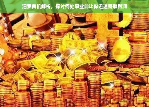 汨罗商机解析，探讨何处事业能让你迅速赚取利润