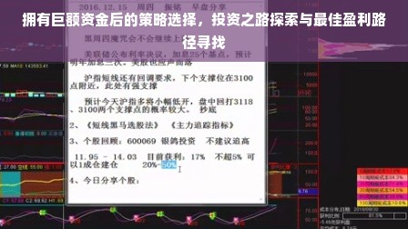 拥有巨额资金后的策略选择，投资之路探索与最佳盈利路径寻找