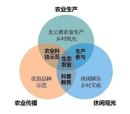 农村铁桶利用再创新的商业价值——一个有关农产品生产与交易的生机勃勃的行业视角