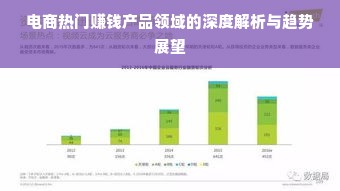 电商热门赚钱产品领域的深度解析与趋势展望