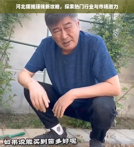 河北摆摊赚钱新攻略，探索热门行业与市场潜力