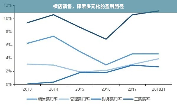 横店销售，探索多元化的盈利路径