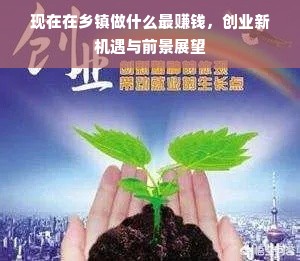 现在在乡镇做什么最赚钱，创业新机遇与前景展望