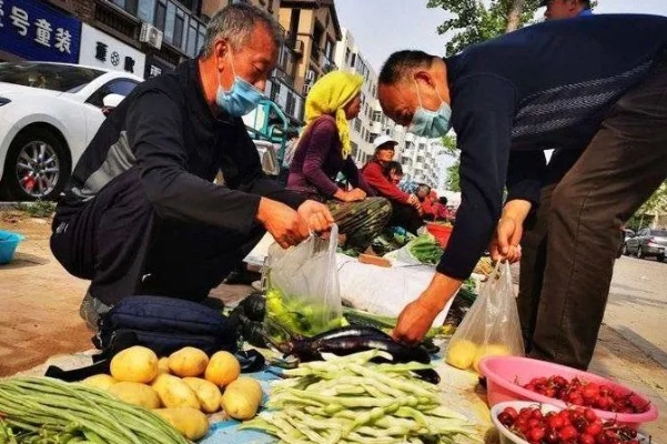 旅顺农民的商业之路，探索赚钱生意多样化