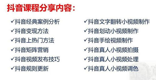 粉丝十万，探索高效变现之路，热门策略与赚钱新机遇