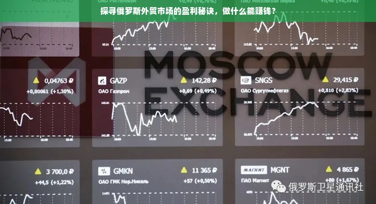 探寻俄罗斯外贸市场的盈利秘诀，做什么能赚钱？