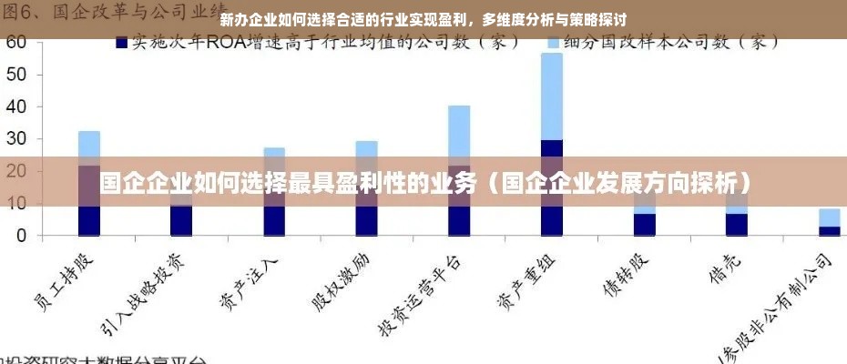 新办企业如何选择合适的行业实现盈利，多维度分析与策略探讨