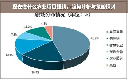 现在做什么农业项目赚钱，趋势分析与策略探讨