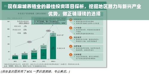 现在麻城养殖业的最佳投资项目探析，挖掘地区潜力与新兴产业优势，做正确赚钱的选择