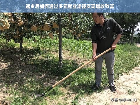 返乡后如何通过多元就业途径实现增收致富