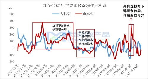 利川夜市，探索热门盈利行业与策略