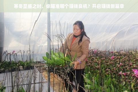 寒冬至盛之时，你瞄准哪个赚钱良机？开启赚钱新篇章