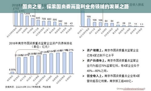 国资之重，探索国资委高盈利业务领域的发展之路